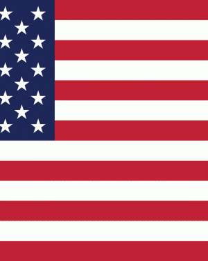 American Flag Poster